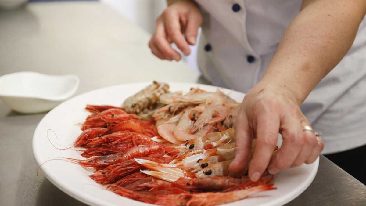 Immagine di Nessuna tradizione nella cucina di pesce di mare, stereotipo insostenibile