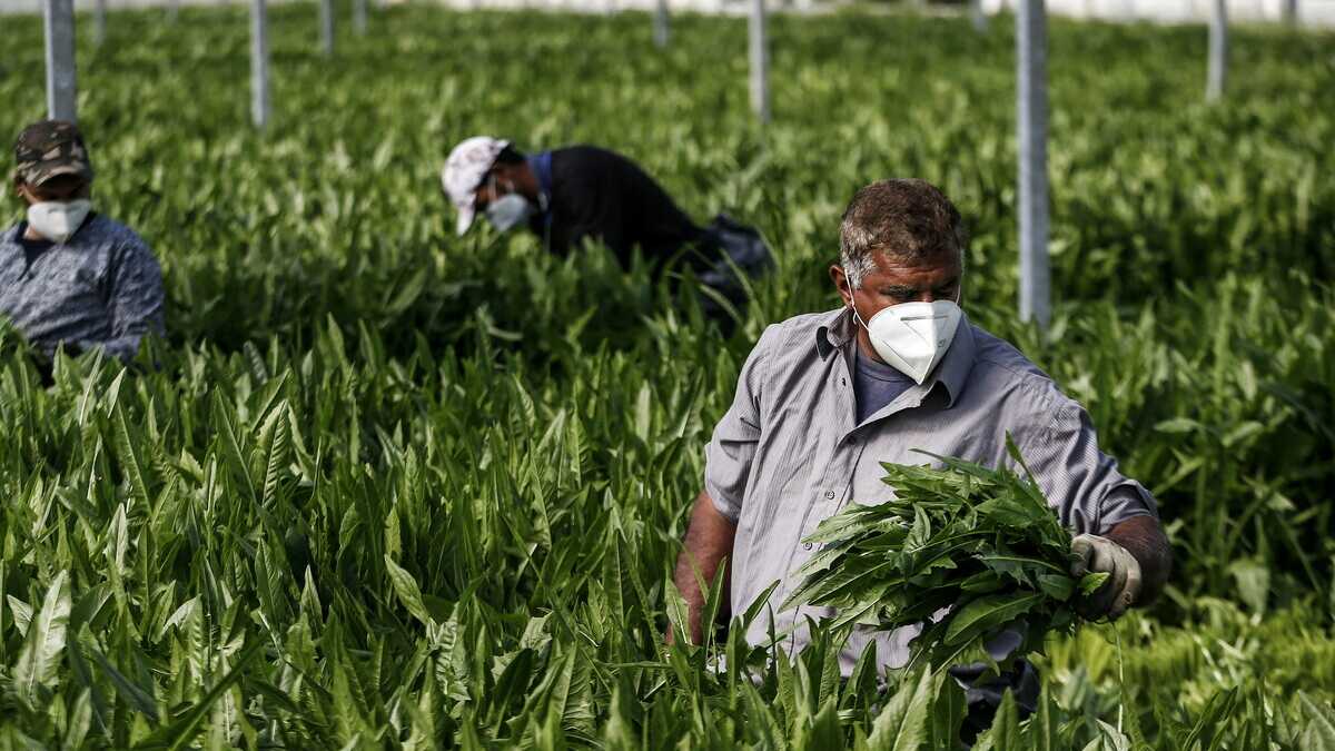 Immagine di Un’altra strada sui migranti si può