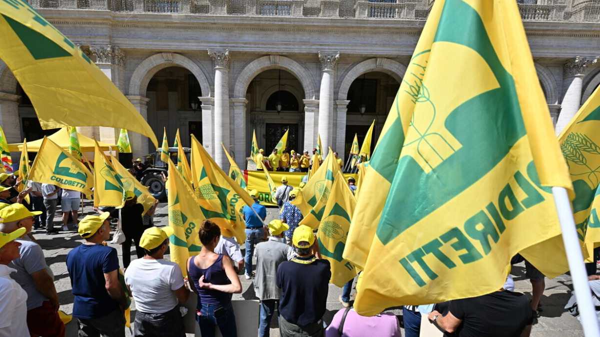 Immagine di Coldiretti e Psa. Botta e risposta con il presidente Prandini sull'emergenza peste suina