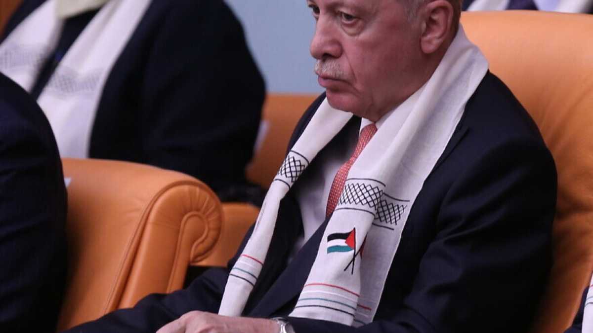 Immagine di Erdogan contro Israele, e la Turchia sembra Oxford
