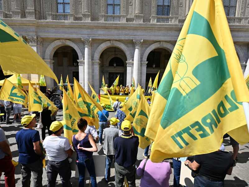 Coldiretti e Psa. Botta e risposta con il presidente Prandini sull'emergenza peste suina