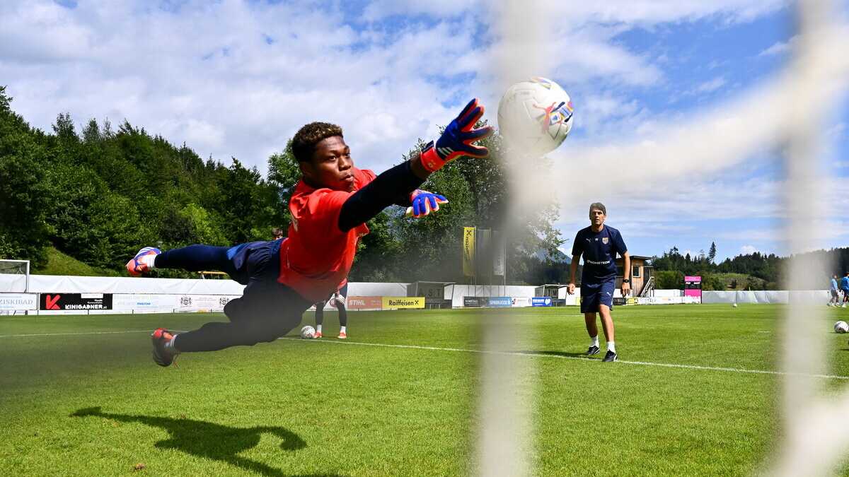 Immagine di Zion Suzuki, iron, lion, zion