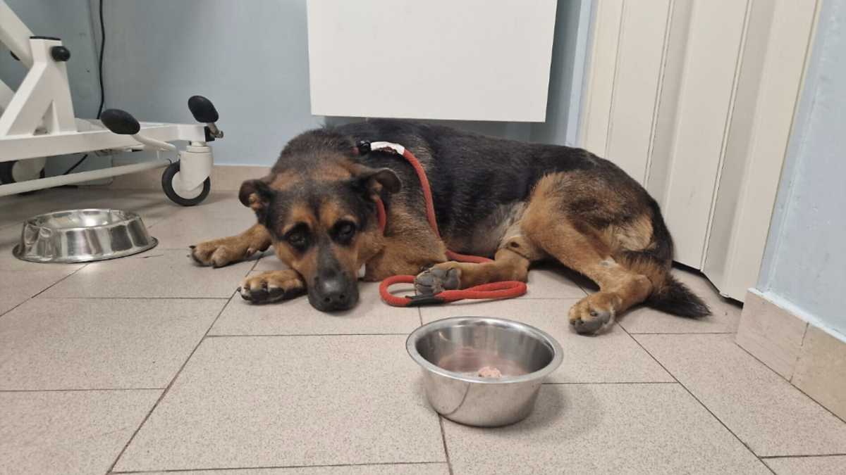 Immagine di Lettere da Taranto, dove non ci sono solo Ilva, polveri e povertà