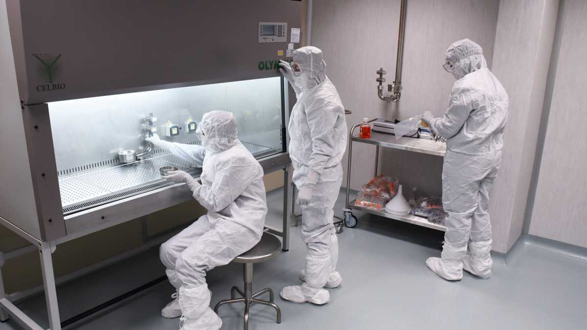 Immagine di Creare una cellula da zero