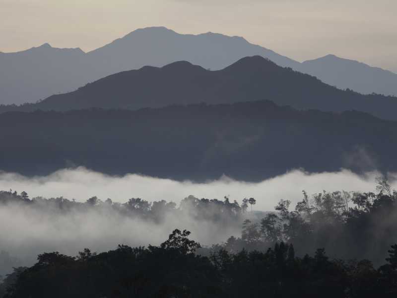 Nebbia mattutina nel parco nazionale del Monte Kinabalu a Sabah, Borneo, Malesia (Foto di Julio Etchart/ullstein bild via Getty Images)&nbsp;<br />