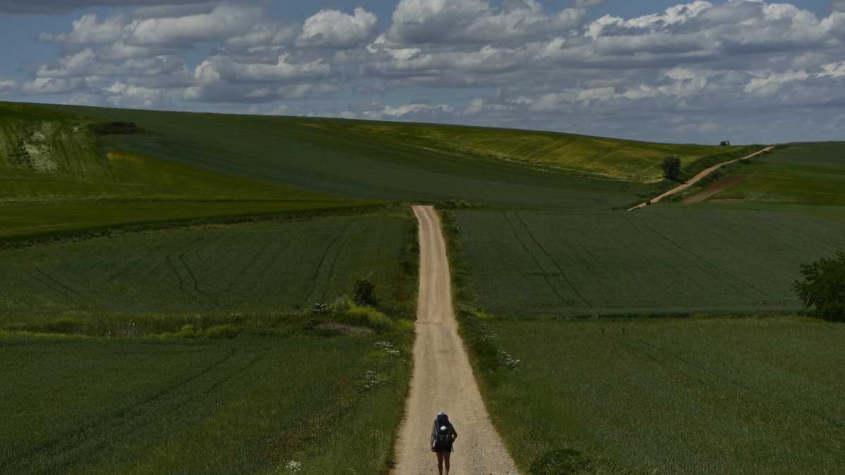 Immagine di Un cammino lungo 30 giorni. Cronache dalla via per Santiago