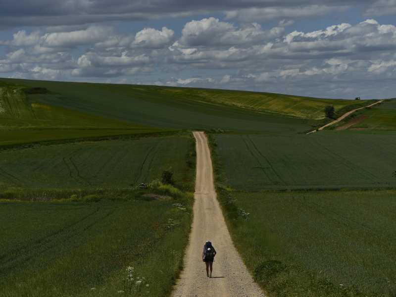 Un cammino lungo 30 giorni. Cronache dalla via per Santiago