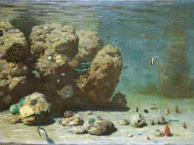 Storia di Eugen von Ransonnet-Villez, il Jules Verne della pittura