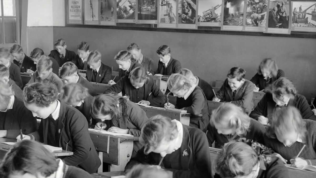Immagine di Quanti fieri autodidatti in politica che dicono: "Io non prendo lezioni da nessuno"