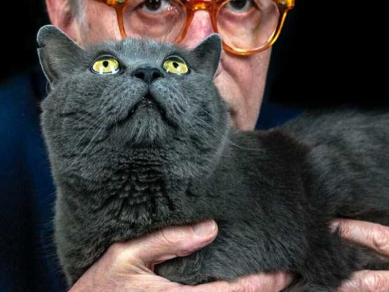 Vittorio Feltri in lode dei gatti: “Almeno loro ti amano senza rompere”