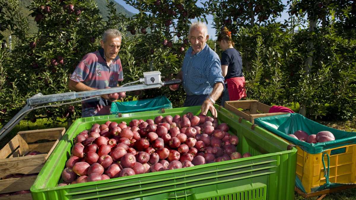 Immagine di Contro i cattivi maestri di Slow Food