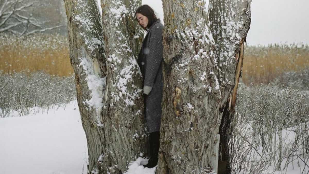 Immagine di La "ritirata di Russia" e la guerra in Ucraina in "Piedi freddi" di Francesca Melandri