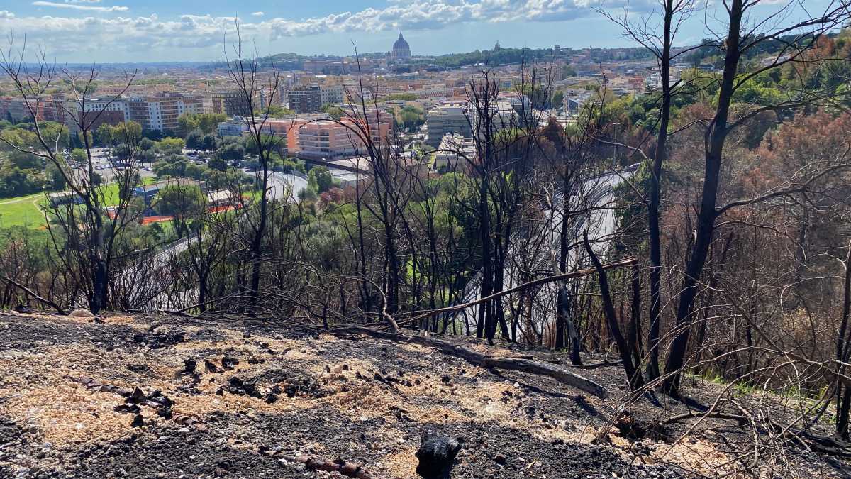 Immagine di Dall’incendio di Monte Mario agli insediamenti abusivi a Termini. A volte il degrado è anche insicurezza