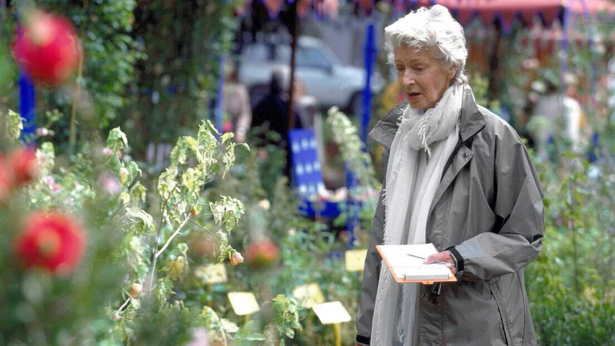 Immagine di Cosa c'entrano i giardini di Marella con le accuse ai fratelli Elkann