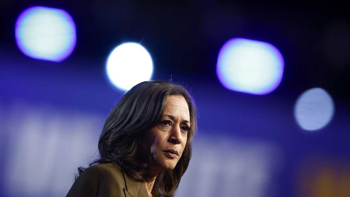 Immagine di Quanto pesa il voto ispanico per Kamala Harris
