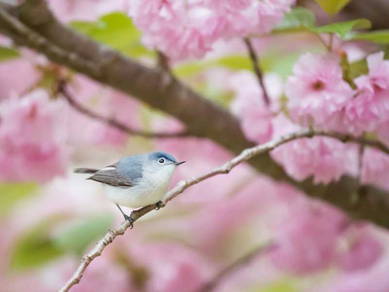 (foto di&nbsp;Ray Hennessy su Unsplash)<br />