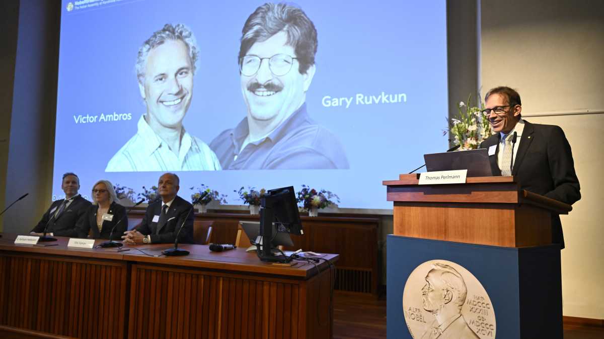 Immagine di Il Nobel per la medicina ad Ambros e Ruvkun: i microRNA e una nuova speranza contro il cancro