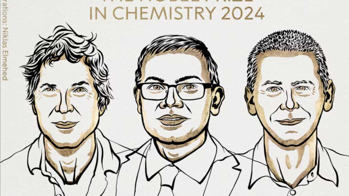 Immagine di I tre Nobel per la chimica 2024 e la rivoluzione nella progettazione delle proteine