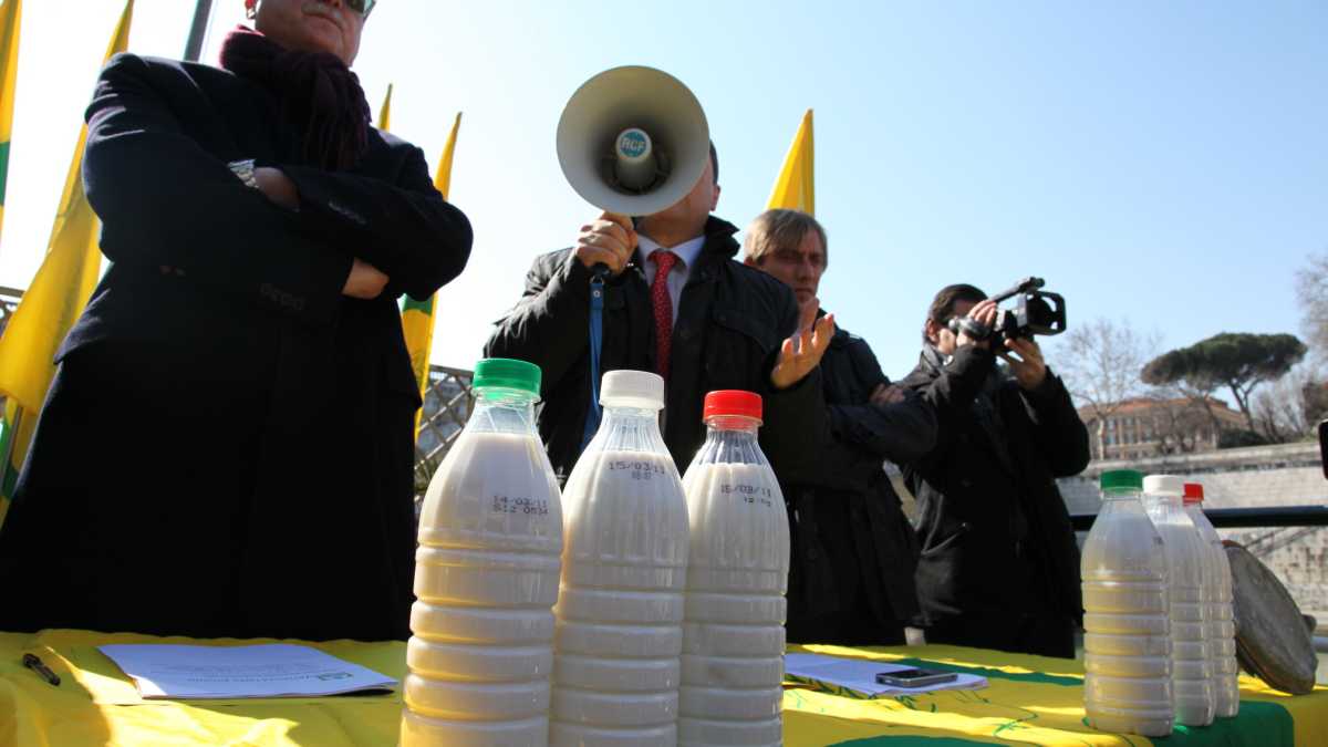 Immagine di Rotto l’idillio Coldiretti-destra nel Lazio, a suon di esposti sulla “crisi del latte”