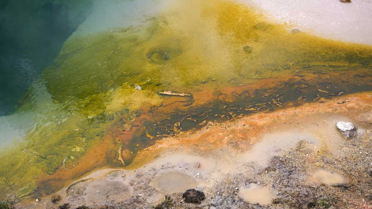 Immagine di Otto passi sulla strada per la vita