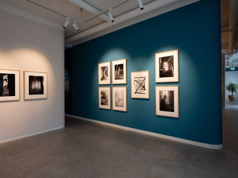 La mostra su Fosco Mariani - foto dal sito del Museo di Lugano