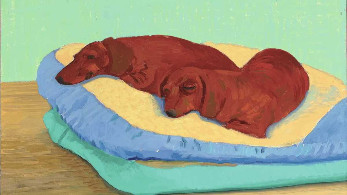 Immagine di Cani degni d’essere raccontati