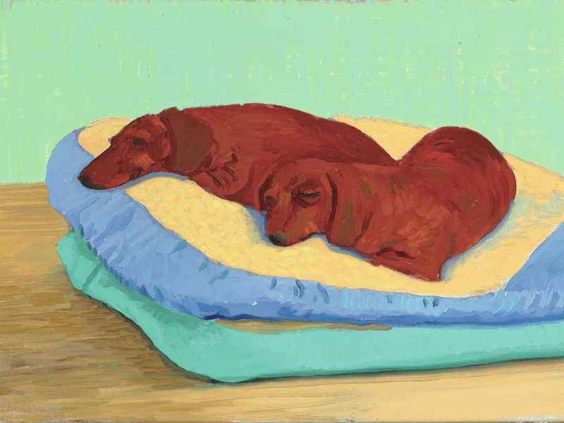 Dog Painting 19 (1995) di David Hockney, uno delle centinaia di dipinti che l'artista ha realizzato raffigurando i suoi amati bassotti&nbsp;<br />