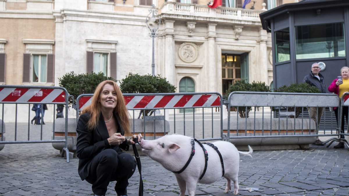 Immagine di L'arca di Ignazio. Tra dubbi sanitari e logistici l’idea del Senato aperto agli animali domestici non decolla