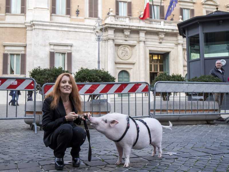 (foto Ansa)