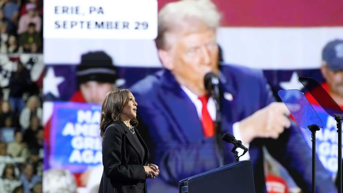 Immagine di Pochi voti decideranno tutto. La ricerca dei candidati alla Casa Bianca negli stati più combattuti