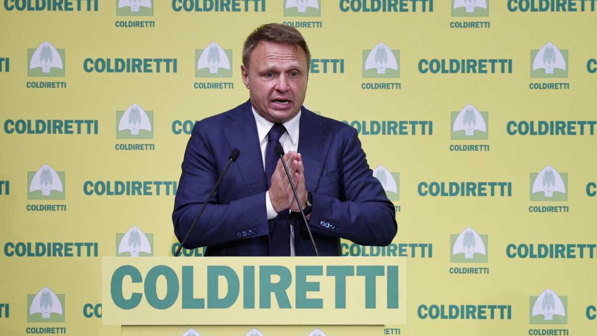 Immagine di Storia dei due schiaffi europei rifilati a Lollo sulla carne sintetica