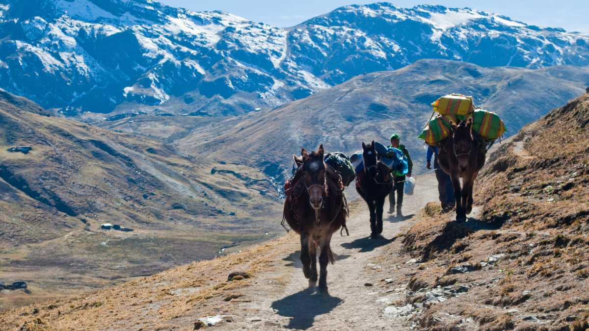 Immagine di Una visita al credito andino (c'è da non dormirci la notte)