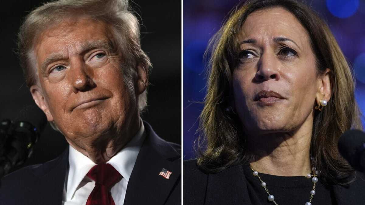Immagine di Altro che campo largo. Gli elettori di centrosinistra voterebbero Harris, i grillini Trump