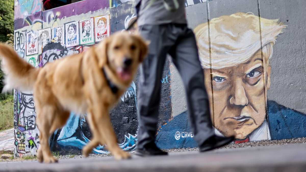 Immagine di Mangiavano cani e gatti, hanno votato Trump perché gli cambi il menù