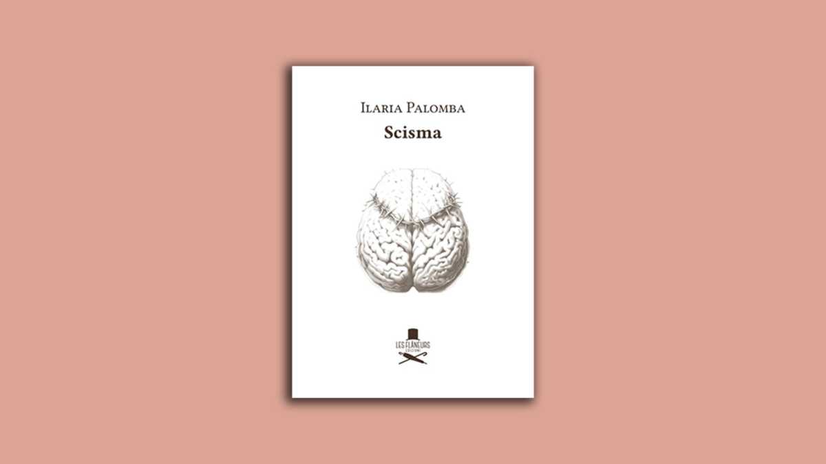 Immagine di Scisma