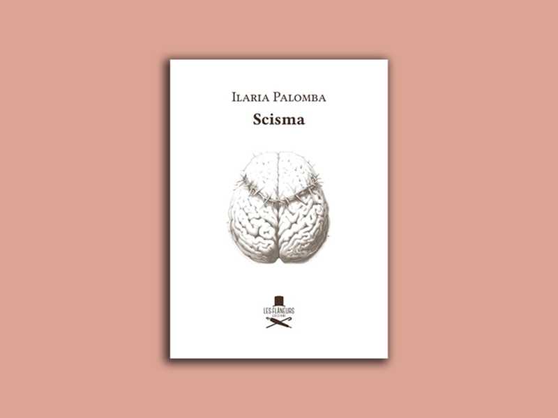 Scisma