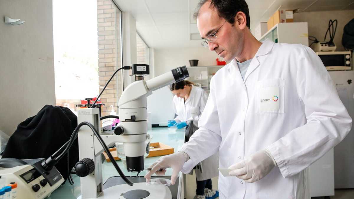 Immagine di La pandemia che non vogliamo vedere: quella dei batteri resistenti ai farmaci