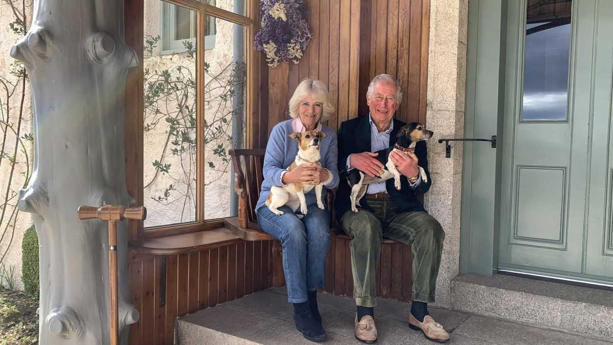 Immagine di In memoria di Beth, la Jack Russell della Regina Camilla