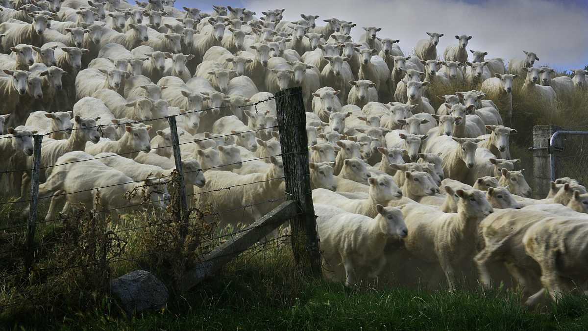 Immagine di Le mode ideologiche di oggi sono più volatili dell’ortodossia di partito, ma altrettanto terroristiche