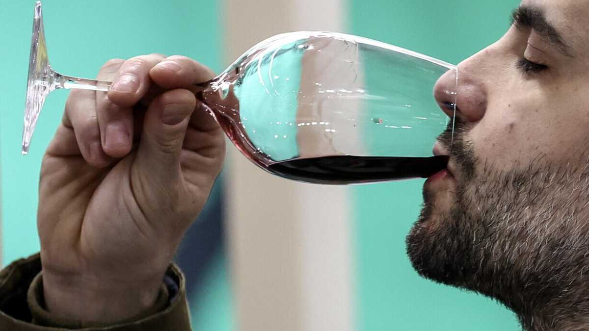 Immagine di Digitalizzare il vino italiano per sburocratizzarlo