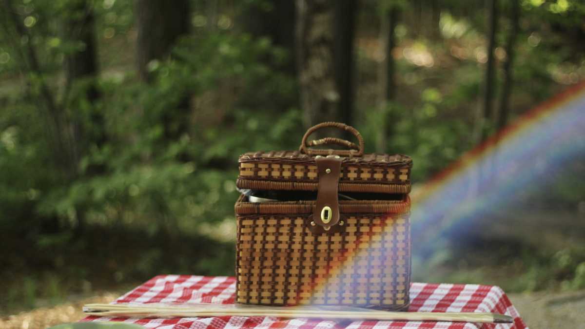 Immagine di Il cestino da picnic mi salvi dai ristoranti commerciali