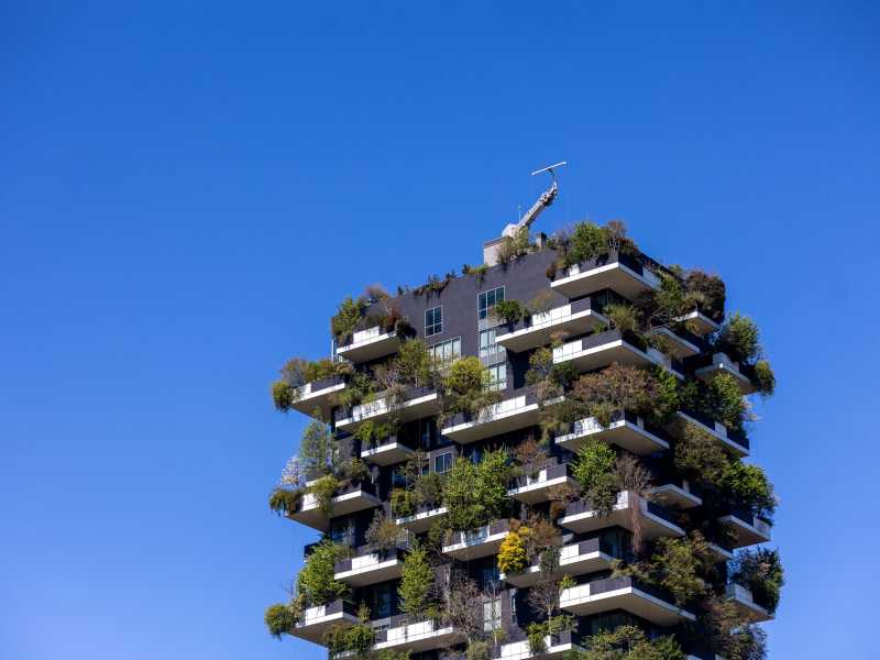 Il Bosco Verticale festeggia 10 anni: tutta la storia in un libro