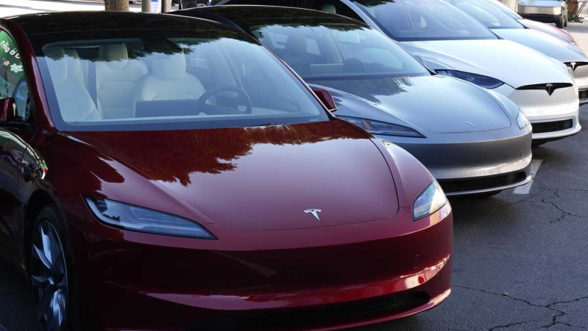 Immagine di Il Musk del nostro scontento. Parla il presidente dei possessori italiani di Tesla