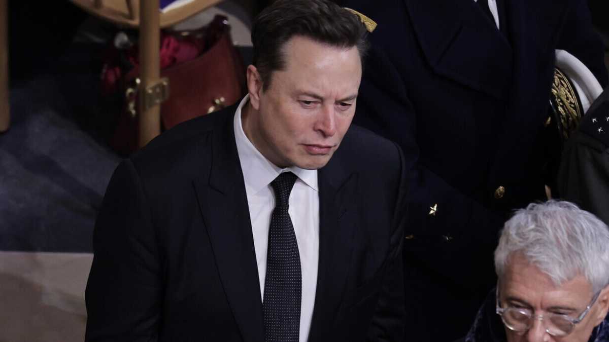 Immagine di Musk contro il Pd su Starlink. Nicita: “Ormai tocca a noi fare i sovranisti”
