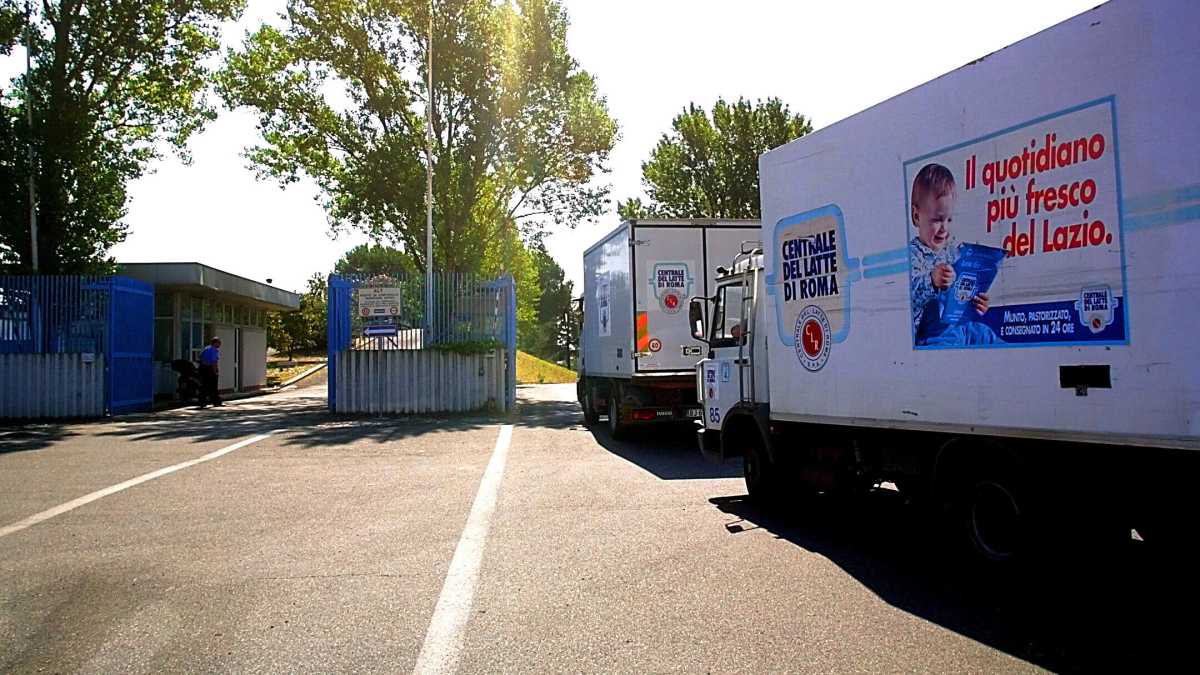Immagine di L’altro latte di Roma: ecco l’azienda che vuole prendersi la Centrale del Latte