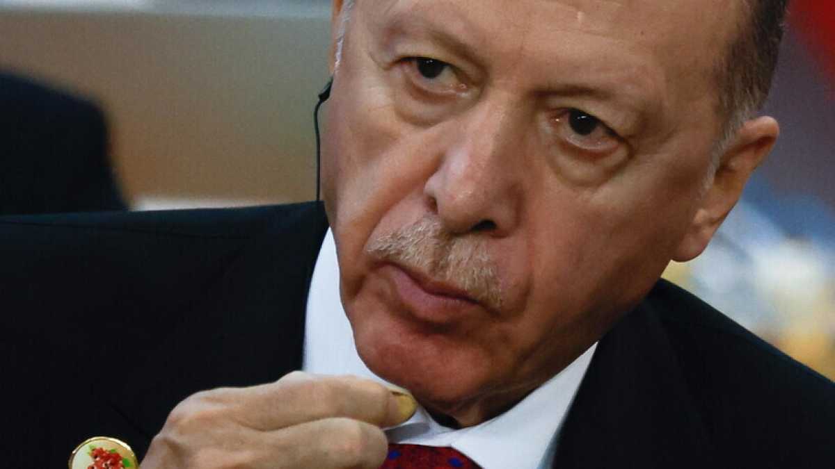 Immagine di Niente pessimismo su quel plurale e tollerante Erdogan