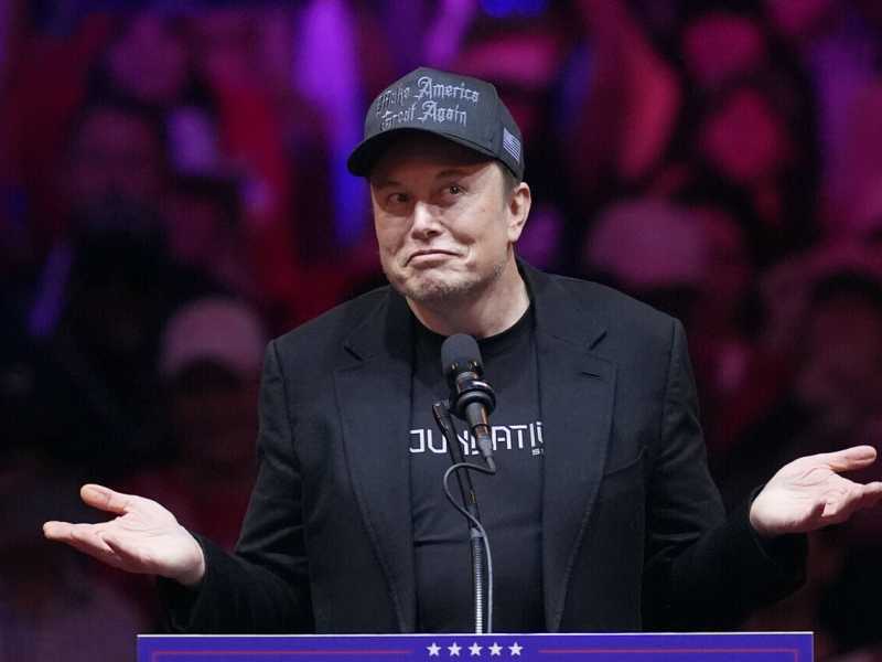 L'endorsement di Musk all'estrema destra tedesca di Afd