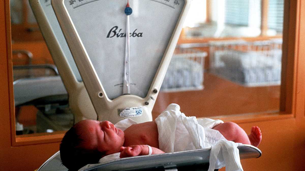 Immagine di Ieri e oggi allineati, alla stessa distanza. Lettera da un déjà-vu