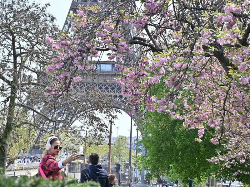 Fiori di ciliegio al Giardino del Trocadero a Parigi (Foto di Mustafa Yalcin/Anadolu via Getty Images) <br />