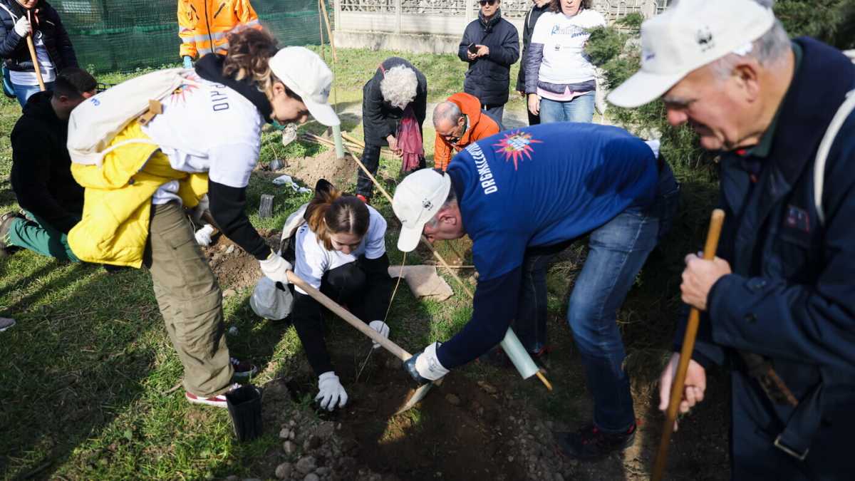 Immagine di No, non è mica facile piantare alberi